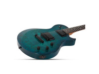 Schecter Schecter